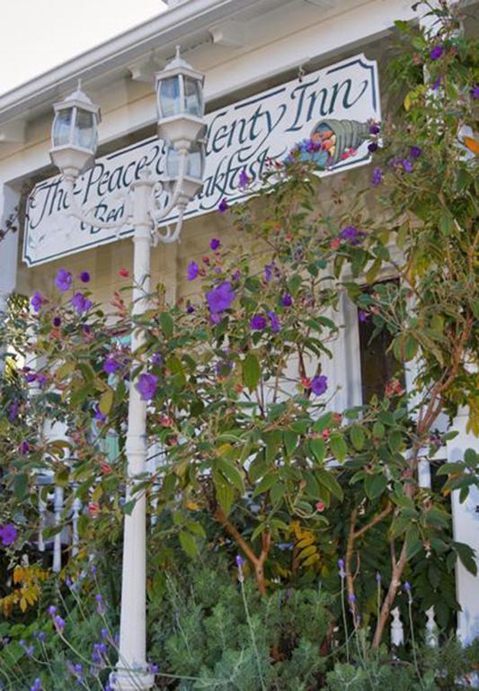 Peace And Plenty Inn Auckland Exteriör bild